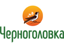 Черноголовка